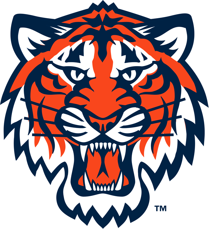 Detroit Tigers 1994-Pres Partial Logo t shirts DIY iron ons